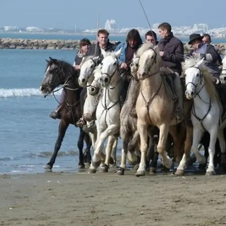 2 Pieces Avec Terrasse, Parking Prive, Proche Et Commerces - Fr-1-307-57